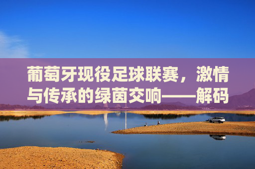 葡萄牙现役足球联赛，激情与传承的绿茵交响——解码欧洲足坛的百年荣耀与当代活力