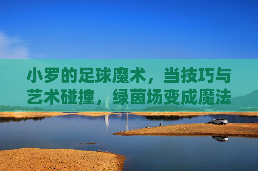 小罗的足球魔术，当技巧与艺术碰撞，绿茵场变成魔法舞台