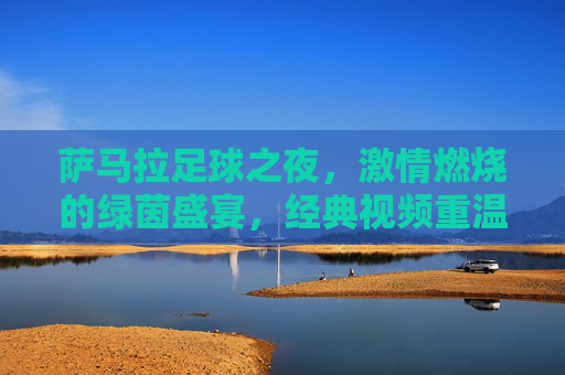 萨马拉足球之夜,激情燃烧的绿茵盛宴,经典视频重温热血时刻