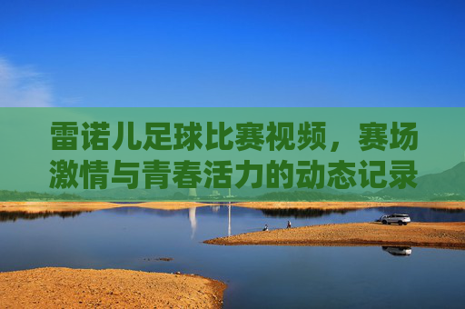 雷诺儿足球比赛视频,赛场激情与青春活力的动态记录