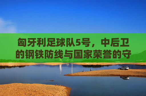 匈牙利足球队5号，中后卫的钢铁防线与国家荣誉的守护者