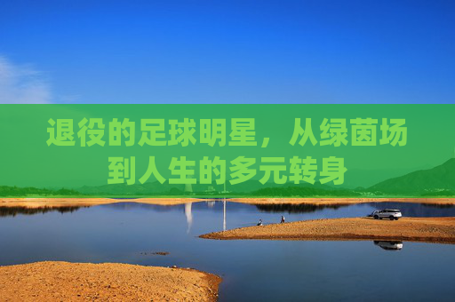 退役的足球明星，从绿茵场到人生的多元转身