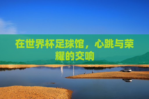 在世界杯足球馆，心跳与荣耀的交响