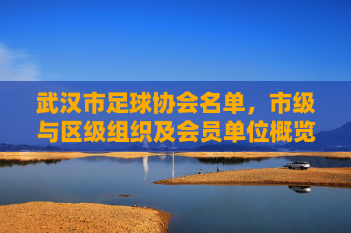 武汉市足球协会名单，市级与区级组织及会员单位概览，武汉市足球协会名单，市级与区级组织及会员单位概览