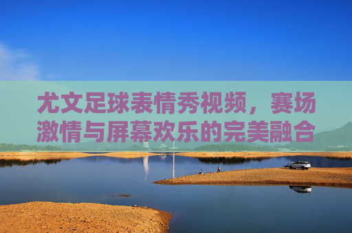 尤文足球表情秀视频,赛场激情与屏幕欢乐的完美融合
