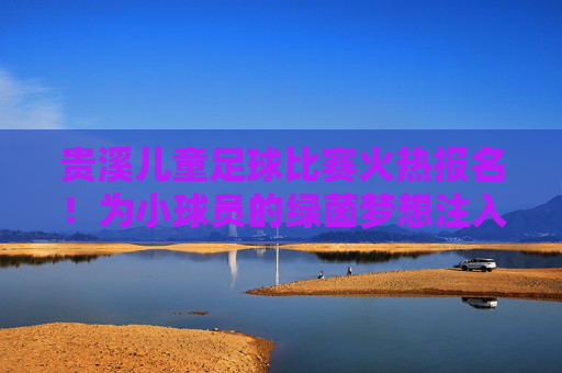 贵溪儿童足球比赛火热报名！为小球员的绿茵梦想注入活力