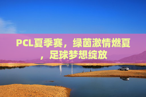 PCL夏季赛,绿茵激情燃夏,足球梦想绽放