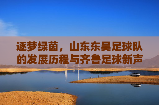 逐梦绿茵,山东东吴足球队的发展历程与齐鲁足球新声,逐梦绿茵,山东东吴足球队发展历程与齐鲁足球新声