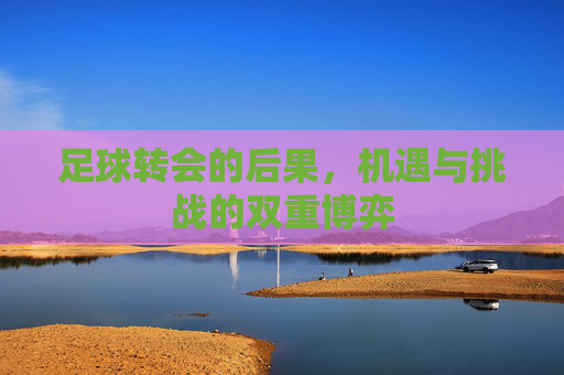足球转会的后果，机遇与挑战的双重博弈