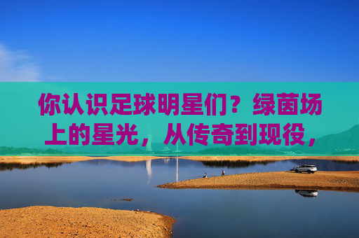 你认识足球明星们？绿茵场上的星光，从传奇到现役，这些足球巨星的传奇与魅力等你探索