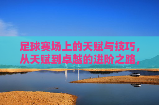 足球赛场上的天赋与技巧,从天赋到卓越的进阶之路,足球赛场,天赋与技巧的进阶之路