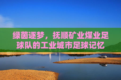 绿茵逐梦，抚顺矿业煤业足球队的工业城市足球记忆