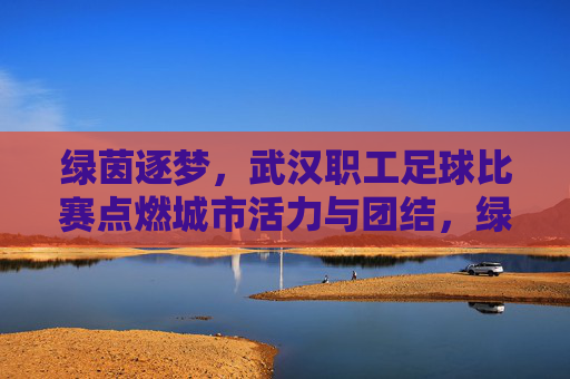 绿茵逐梦，武汉职工足球比赛点燃城市活力与团结，绿茵逐梦，武汉职工足球比赛点燃城市活力与团结