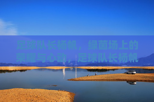 足球队长杨帆,绿茵场上的荣耀与心动,足球队长杨帆,绿茵场上的荣耀与心动
