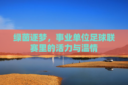 绿茵逐梦,事业单位足球联赛里的活力与温情