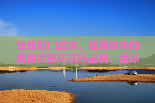 足球射门艺术，任意球中的绝美绽放与技巧鉴赏，足球射门艺术，任意球中的绝美绽放与技巧鉴赏