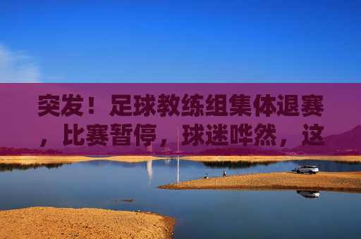 突发!足球教练组集体退赛,比赛暂停,球迷哗然,这背后是职业操守还是利益纠葛?突发!足球教练组集体退赛比赛暂停球迷哗然背后是职业操守还是利益纠葛?