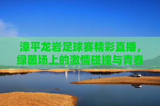 漳平龙岩足球赛精彩直播，绿茵场上的激情碰撞与青春绽放，漳平龙岩足球赛精彩直播，绿茵场上的激情碰撞与青春绽放