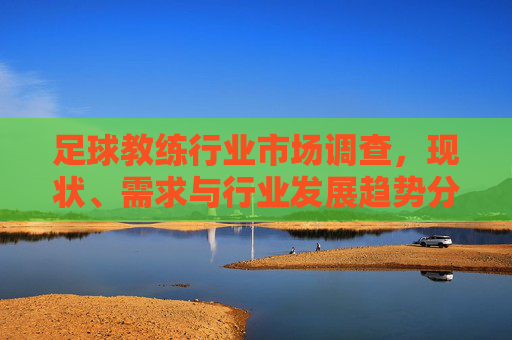 足球教练行业市场调查,现状、需求与行业发展趋势分析,足球教练行业市场调查,现状、需求与行业发展趋势分析