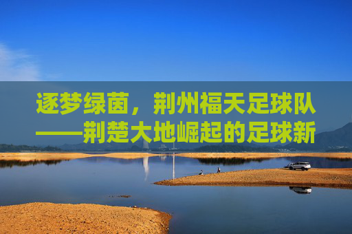 逐梦绿茵，荆州福天足球队——荆楚大地崛起的足球新力量，逐梦绿茵，荆州福天足球队——荆楚大地崛起的足球新力量