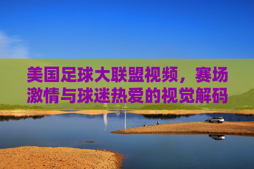 美国足球大联盟视频,赛场激情与球迷热爱的视觉解码