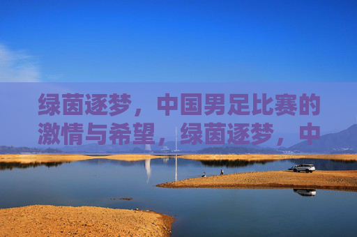 绿茵逐梦,中国男足比赛的激情与希望,绿茵逐梦,中国男足比赛的激情与希望