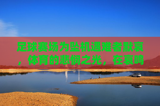足球赛场为坠机遇难者默哀,体育的悲悯之光,在哀鸣中照亮人类共情,足球赛场为坠机遇难者默哀,体育悲悯之光,在哀鸣中照亮人类共情