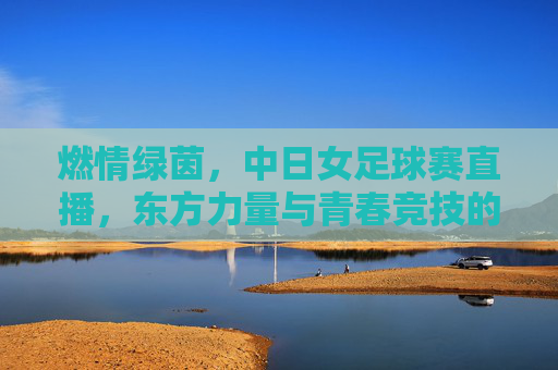 燃情绿茵，中日女足球赛直播，东方力量与青春竞技的激情碰撞