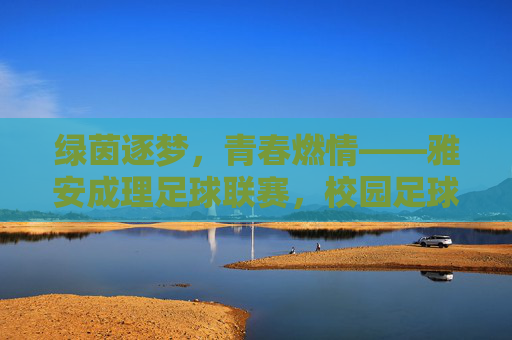 绿茵逐梦,青春燃情——雅安成理足球联赛,校园足球的活力引擎与精神传承