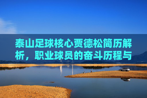 泰山足球核心贾德松简历解析,职业球员的奋斗历程与赛场贡献