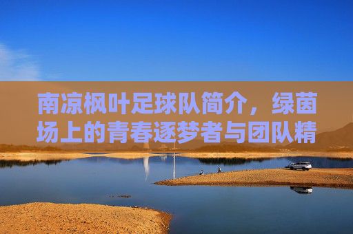 南凉枫叶足球队简介，绿茵场上的青春逐梦者与团队精神