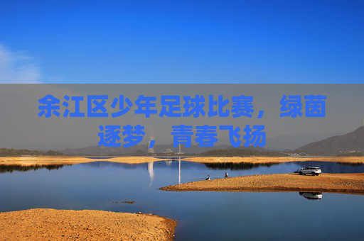 余江区少年足球比赛，绿茵逐梦，青春飞扬