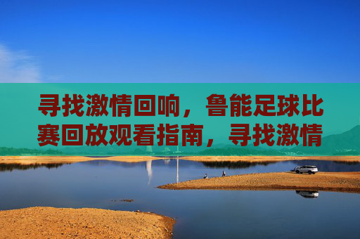 寻找激情回响，鲁能足球比赛回放观看指南，寻找激情回响，鲁能足球比赛回放观看指南
