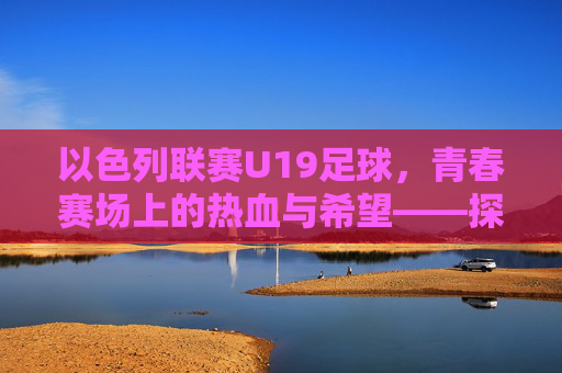 以色列联赛U19足球,青春赛场上的热血与希望——探析以色列足球青训的活力引擎,以色列联赛U19足球,青春赛场上的热血与希望——探析以色列足球青训的活力引擎