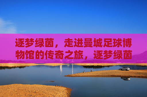 逐梦绿茵，走进曼城足球博物馆的传奇之旅，逐梦绿茵，走进曼城足球博物馆的传奇之旅