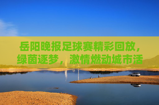 岳阳晚报足球赛精彩回放，绿茵逐梦，激情燃动城市活力