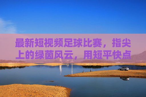 最新短视频足球比赛,指尖上的绿茵风云,用短平快点燃足球热情