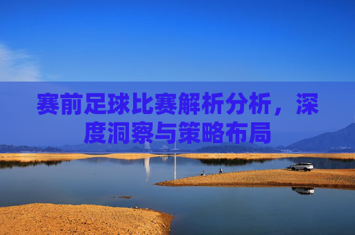 赛前足球比赛解析分析，深度洞察与策略布局