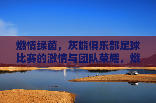 燃情绿茵，灰熊俱乐部足球比赛的激情与团队荣耀，燃情绿茵，灰熊俱乐部足球比赛的激情与团队荣耀