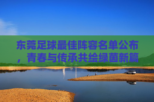 东莞足球最佳阵容名单公布,青春与传承共绘绿茵新篇章
