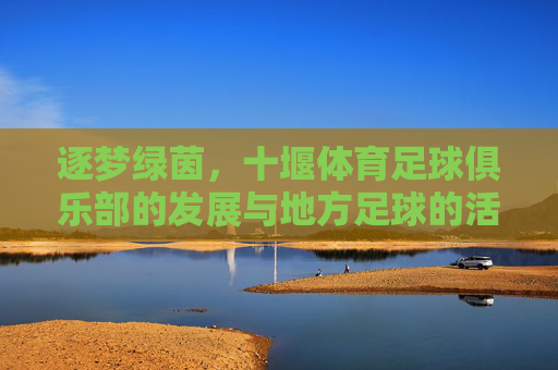 逐梦绿茵，十堰体育足球俱乐部的发展与地方足球的活力