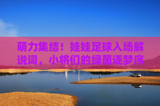 萌力集结！娃娃足球入场解说词，小将们的绿茵逐梦序曲，萌力集结！娃娃足球入场解说词，小将们的绿茵逐梦序曲