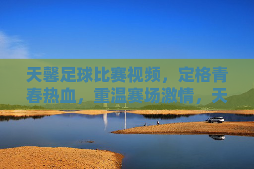 天馨足球比赛视频，定格青春热血，重温赛场激情，天馨足球比赛视频，定格青春热血，重温赛场激情