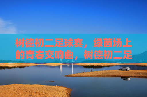树德初二足球赛，绿茵场上的青春交响曲，树德初二足球赛，绿茵场上的青春交响曲