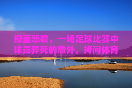 绿茵悲歌,一场足球比赛中球员猝死的意外,拷问体育安全的边界