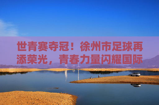 世青赛夺冠！徐州市足球再添荣光，青春力量闪耀国际舞台，世青赛夺冠！徐州市足球再添荣光，青春力量闪耀国际舞台
