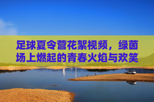 足球夏令营花絮视频，绿茵场上燃起的青春火焰与欢笑