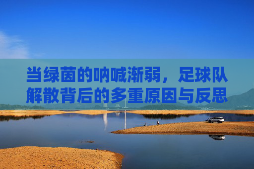 当绿茵的呐喊渐弱,足球队解散背后的多重原因与反思,当绿茵的呐喊渐弱,足球队解散的多重原因与反思