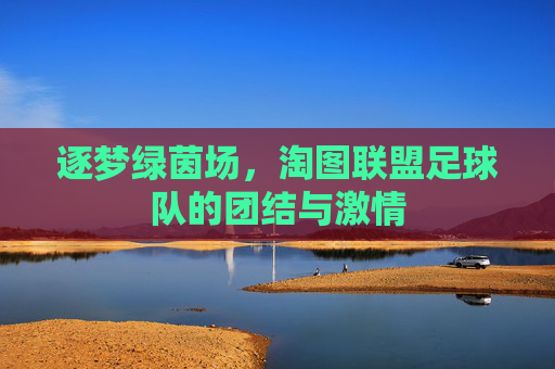 逐梦绿茵场，淘图联盟足球队的团结与激情