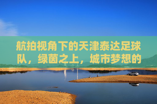 航拍视角下的天津泰达足球队,绿茵之上,城市梦想的空中画卷